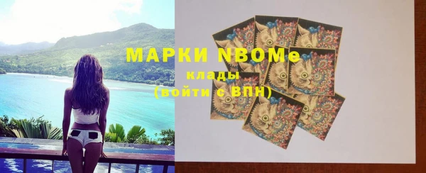 хмурый Арсеньев
