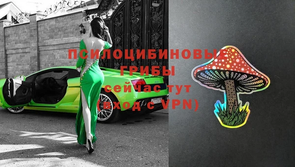 бошки Аркадак