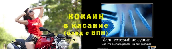 хмурый Арсеньев