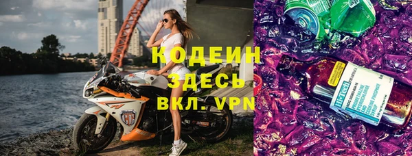 хмурый Арсеньев