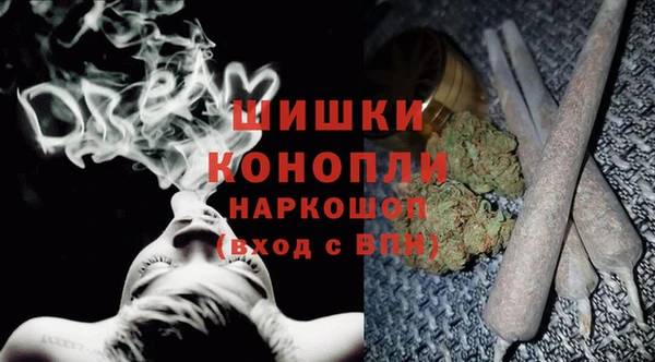 бошки Аркадак