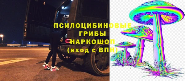 хмурый Арсеньев