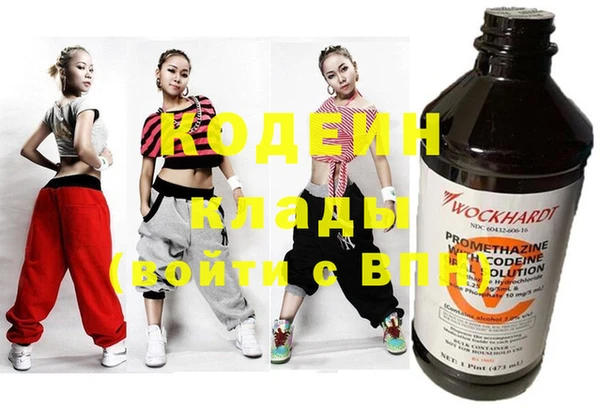 хмурый Арсеньев