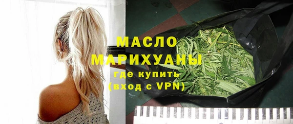 хмурый Арсеньев