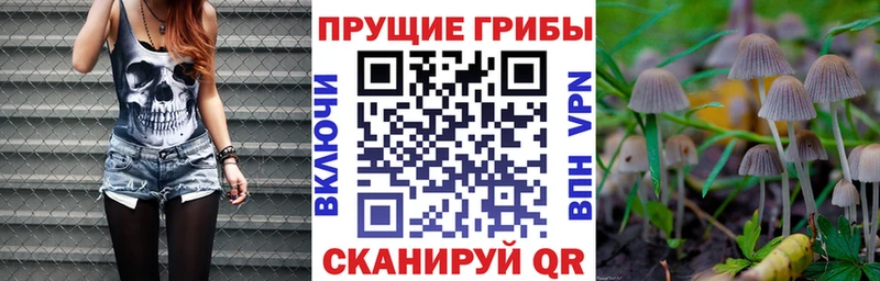 что такое наркотик Старый Крым Галлюциногенные грибы GOLDEN TEACHER